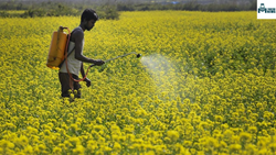 Digicides: A Farming Tool for Optimum Crop Management