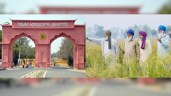 Punjab Agricultural University to Honor 'Innovative Farmers' at Kisan Mela 2024, Invites Applications 