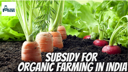 Subsidy for Organic Farming in India