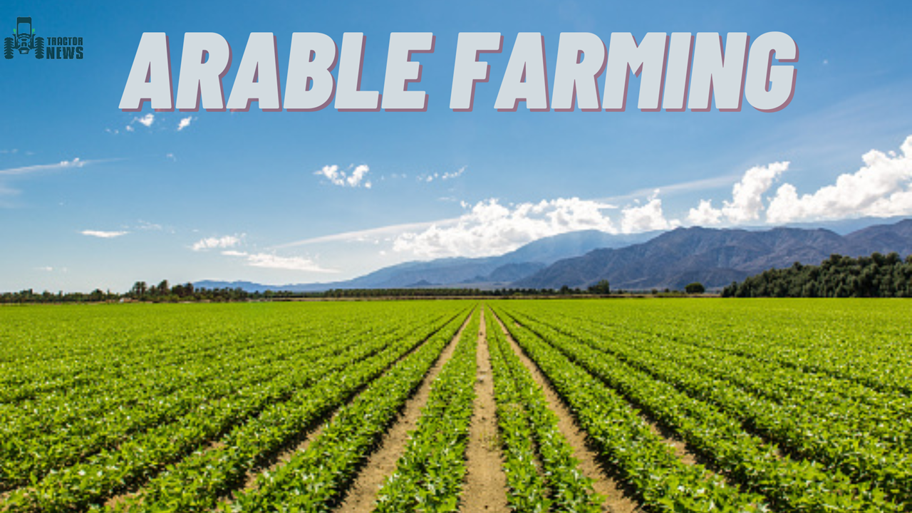 What Is Arable Farming In Nigeria