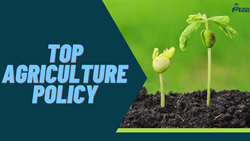 Top Key Policies To Promote Sustainable Development