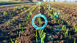 AI in Agriculture- A Revolutionary Tech To Feed The World