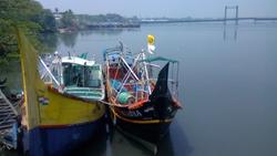 Government Approves Rs 7,500 Cr for Modern Fishing Harbours Development