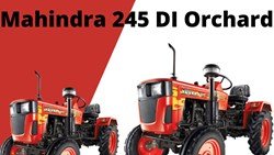Mahindra 245 DI Orchard-2022  Features, Specifications & more