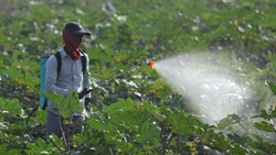 Union Minister Mandaviya: Govt Approved Launch Of Nano Liquid Dap Fertiliser To Benefit Farmers