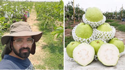 MBA Graduate Rajeev Bhaskar, Who Left His Job to Grow Guavas, Now Earns Rs 1 Crore