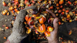 Godrej Agrovet and SBI Unite to Empower Indian Oil Palm Farmers with New Finance Offerings