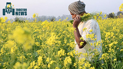 The Indian agricultural sector performed well but requires reorientation: Ecological Survey