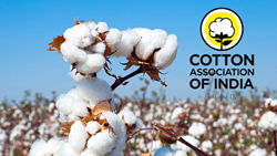 Cotton Association of India Raises Cotton Output Estimate to 311.18 Lakh Bales for 2022-23