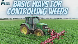 Basic Ways for Controlling Weeds in Your Field-2023