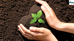 Know All About The Importance Of Soil Health In Agriculture