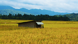 Arunachal Governor Requests People to Get Engaged in Agri-Horti Sectors