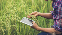 How E-commerce is Revolutionizing the Indian Agriculture Sector?