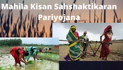 Mahila Kisan Sahshaktikaran Pariyojana-Everything You Need To Know About 