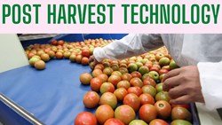 Here’s Everything You Should Know About Post Harvest Technology 