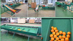 Fruit and Vegetable Grader Machines: Revolutionizing the Agriculture Industry