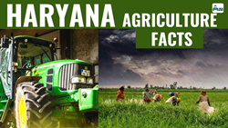 Top 10 Unique Agricultural Facts About Haryana- “The Bread Basket of India"