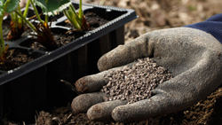 Top 5 Natural Fertilizers To Enhance Plant Performance