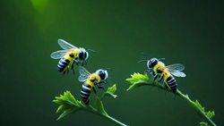 World Bee Day: Bees, the Unwavering Friends of Farmers and Agriculture