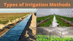Irrigation System: Different Types & Benefits
