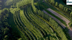 The Benefits of Agroforestry: A Sustainable Solution for Agriculture