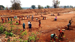 Farmers in Drought-Hit Regions Turn to MGNREGA for Relief and Livelihood