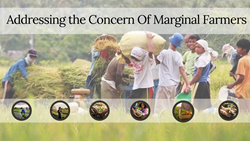 Lieutenant Governor Manoj Sinha Said, "We are addressing concerns of small, marginal farmers" 
