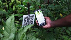 Agriculture Dept Launches QR Code-based System for Transparent Seed and Equipment Distribution 