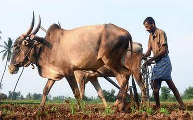 E-Vadagai, a mobile app for renting farm equipment to farmers in Tamil Nadu