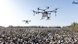 Enhancing Pest and Disease Management with Drones in Agriculture