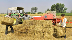 Punjab Plans for Rs 350 Crore Subsidy for 20,000 Straw Management Machines Benefiting Farmers