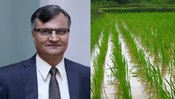 Indian Agriculture Poised for Growth in FY24, 3% Growth Expected Despite Monsoon Concerns