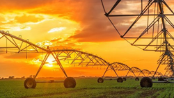  Center Pivot And Lateral Pivot Irrigation System- Find Out The Differences To Choose The Best