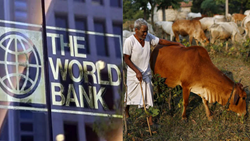 World Bank Approves USD 82 Million for Animal Health Management & Preventing Zoonotic Disease in India