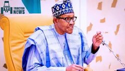 Buhari Establishes Agricultural Machinery Development Institute To Improve Food Security