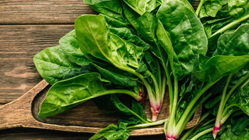 Spinach Success: Top Tips for a Bumper Harvest