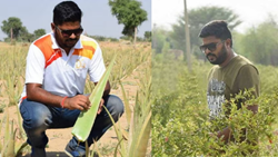 Success Story of Harish Dhandev: From Engineer to Millionaire Aloe Vera Farmer