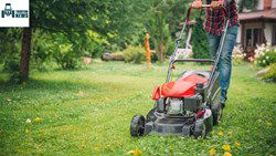 Top 7 Lawn Mowers And Their Benefits