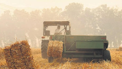 Punjab to Tackle Stubble Burning & Enhance Crop Residue Management, To Provide 22,000 Straw Management Machines