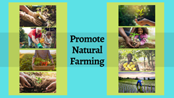 Centre Proposed Natural Farming, Support for Agriculture Startups in Budget 2022
