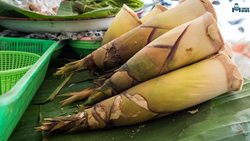 “Rebung Bambu” - The Nutritious and Sustainable Bamboo Shoots