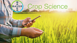 Bayer CropScience Reports Robust Q1 Performance with 8.55% Rise in Net Profit