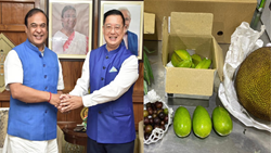 Singapore Receives First Air Cargo Shipment of Assam Fruits, Further Strengthening Bilateral Trade