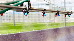 Sustainable Water Management in Greenhouse Irrigation- Best Practices Unveiled
