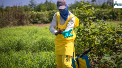 Know All About Major Benefits and Risk of Pesticides in Agriculture 