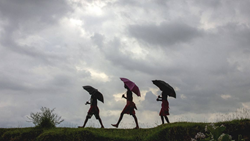 IMD Issues Heavy Rain Alerts For Several Parts In Maharashtra and Himachal Pradesh