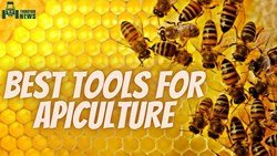 Best Tools For The Exquisite Apiculture Or Bee Farming