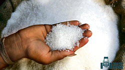 ISMA Lowers India's Sugar Production Forecast For 2022-23 By 6.8%