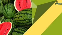 Know About Top Watermelon Tools to Obtain a Healthy Fruit