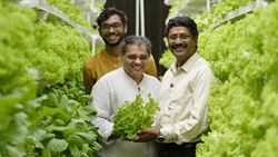 TOP 5 Prominent VERTICAL Farming Companies and their Contribution 